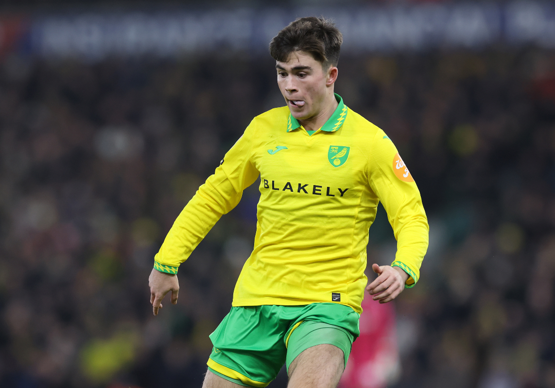 Harry Amass reacts while in action for Norwich.