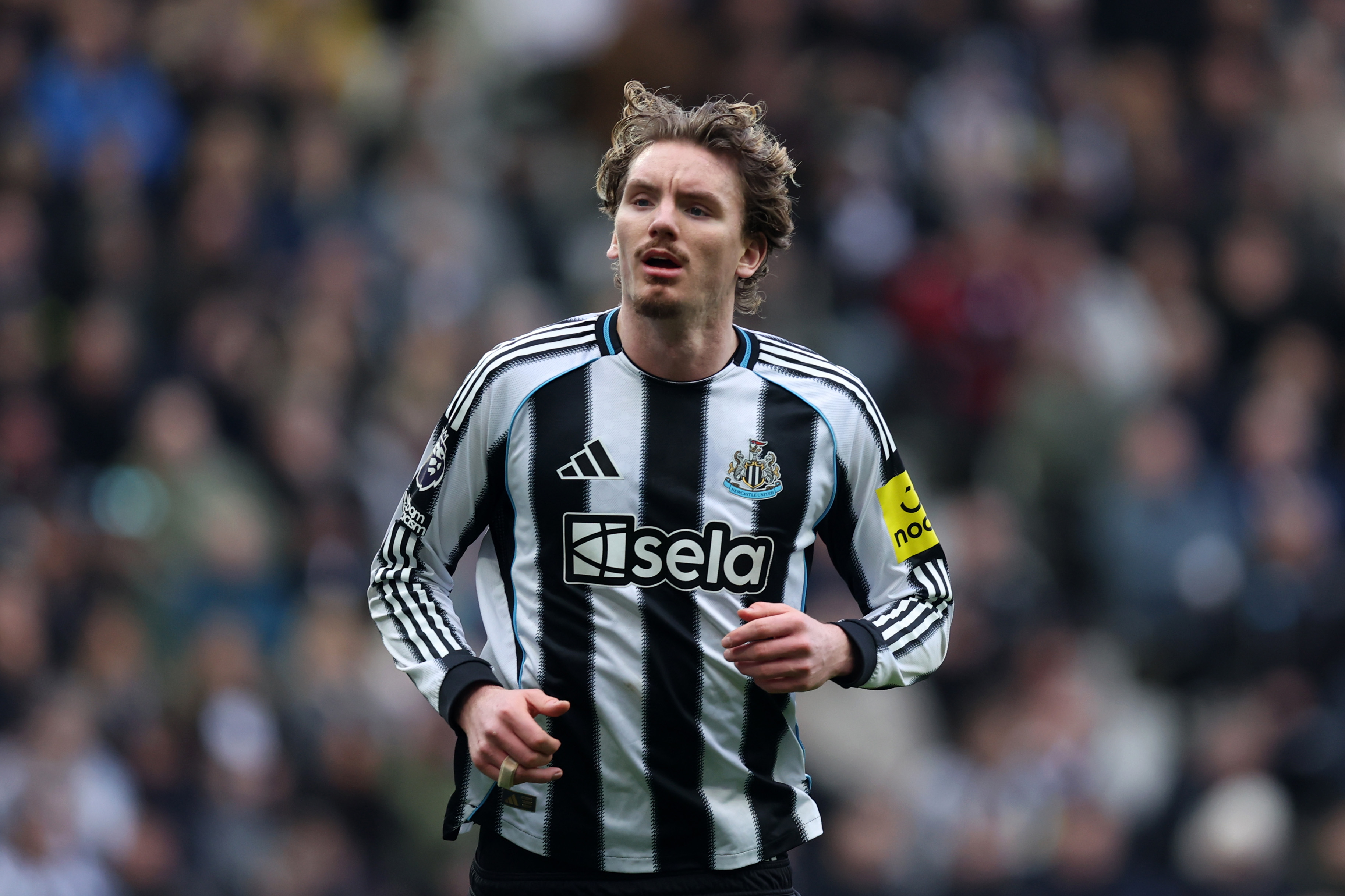 Nick Woltemade looks on while in action for Newcastle against Everton. 